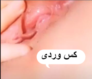 سكس نسوان خليجى تجليج فى البزاز والكس وكلام على الكوكو