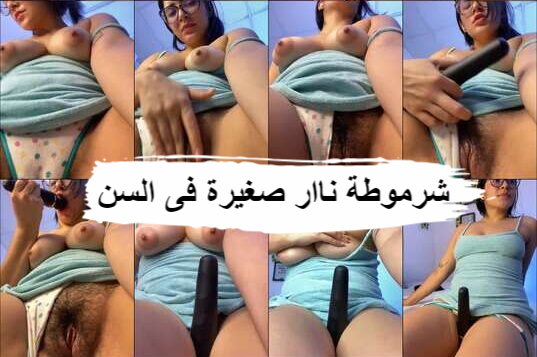 حوش الكون لايف على ar stripchat com ميلف وصغيرة فى السن 2024