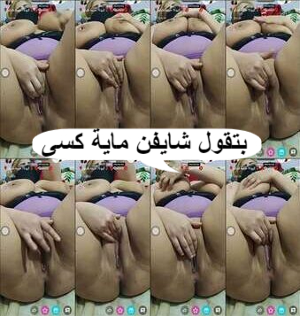 Tango arab private – سكسي تانجو كيوته حبيبه قلبك شايفن ماية كسى